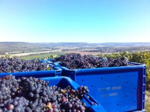 Autres équipements, Caisses à vendange Champenoise