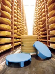 Equipement fromagerie, manutention, Palette comté